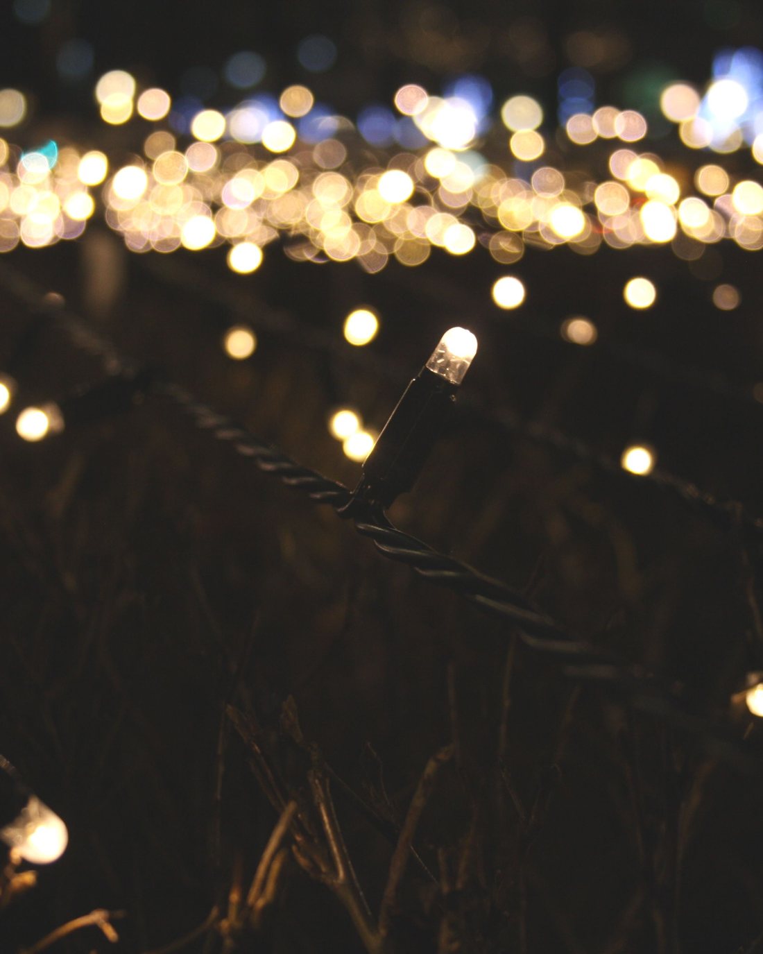 A run of warm white bulbs going out of focus along a strand
