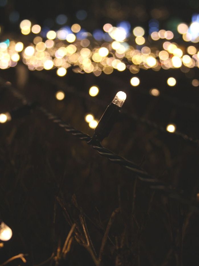 A run of warm white bulbs going soft along a strand