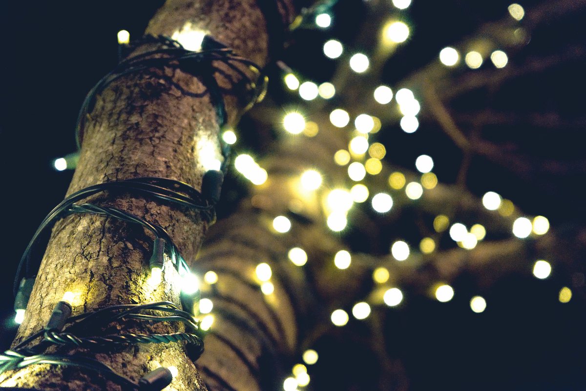 A tree trunk wrapped in warm white lights at night with the lit canopy behind it